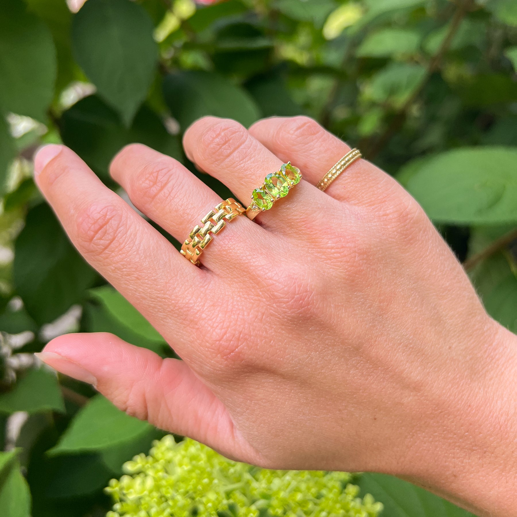 Jaimy Schakel ring