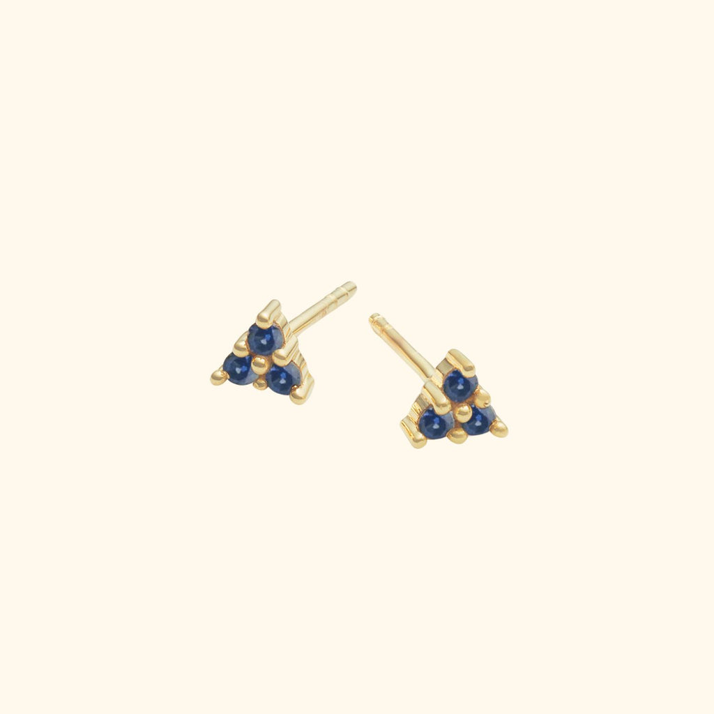 Prachtige blauwe steen of lapis lazuli oorbellen Prachtige blauwe steen of lapis lazuli oorbellen